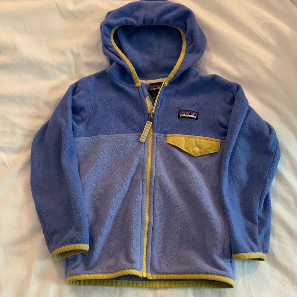 Patagonia fleece toddler girl 3T